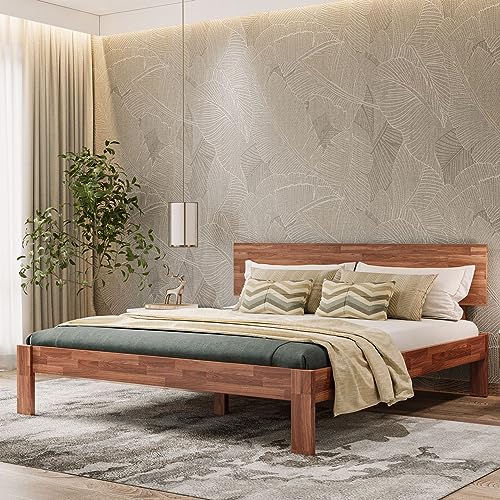 Wakefit Bed | King (78 X 72) Teak Wood Bed Without Storage, 3 Year Warranty | - Indus - Honey Finish_Brown